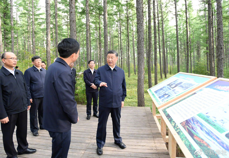  习近平：发扬塞罕坝精神，在新征程上再建功立业