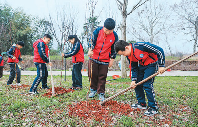 为建设美丽中国增绿添彩